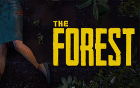 森林/迷失森林/The Forest